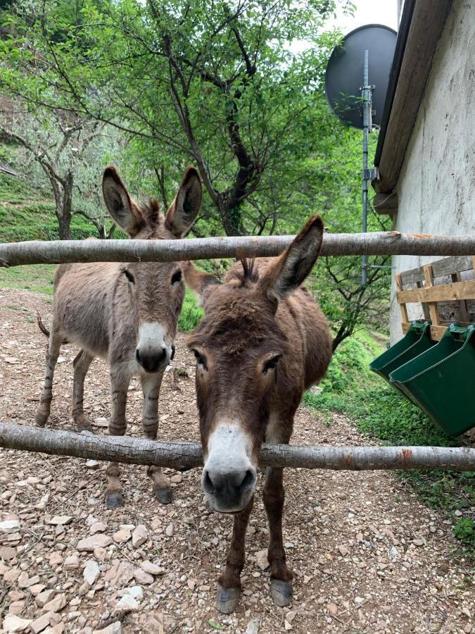 Willa Casa Lume Toscolano Maderno Zewnętrze zdjęcie